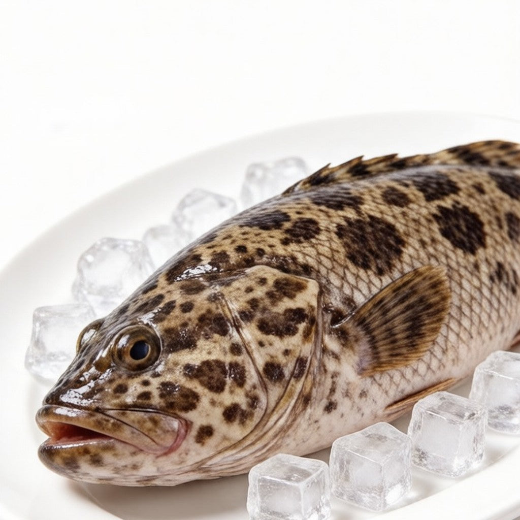Whole red grouper on crushed ice with garnish